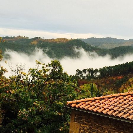 Appartement Petite Terrasse En Cevennes à Peyremale Extérieur photo