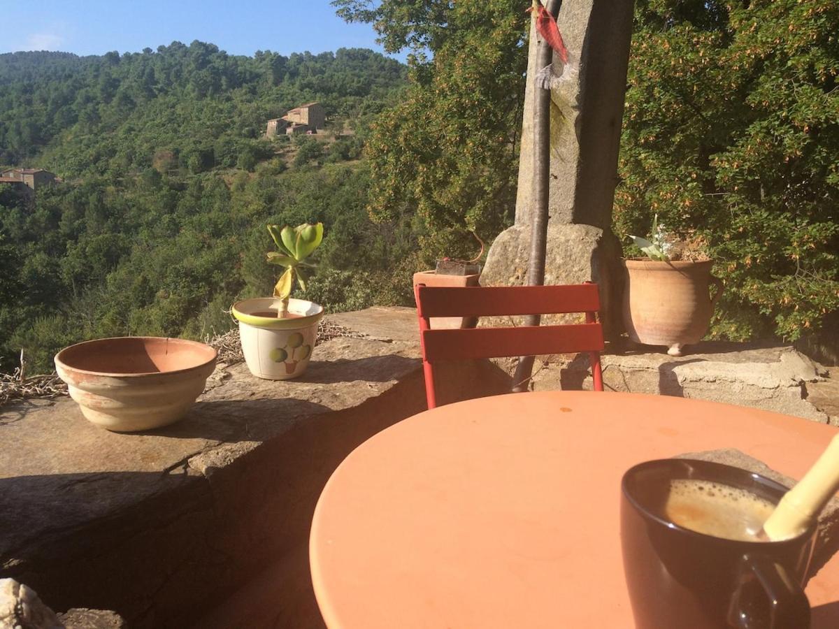 Appartement Petite Terrasse En Cevennes à Peyremale Extérieur photo