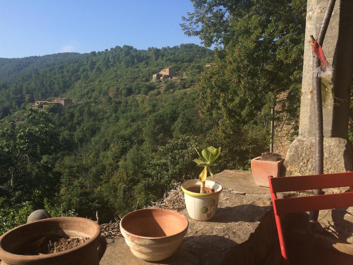 Appartement Petite Terrasse En Cevennes à Peyremale Extérieur photo